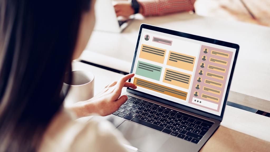 MVP strategy - should you choose custom software or WordPress